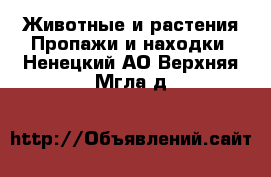 Животные и растения Пропажи и находки. Ненецкий АО,Верхняя Мгла д.